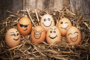 Comer un huevo diario aumenta la inteligencia, según expertos FOTO GETTY IMAGES