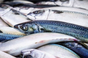 Dieta a base de pescado ayuda a los niños asmáticos