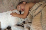 Su perro fue la mejor terapia contra las pesadillas de un niño con autismo