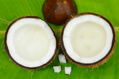 Beneficios del agua de coco para mantener a tu hijo hidratado