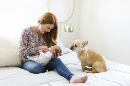 Tu perro y tu recién nacido, ayúdalos a conocerse y amarse FOTO GETTY IMAGES