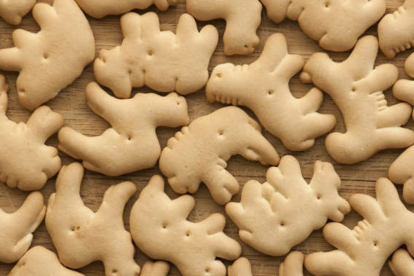 Comer galletas de animalitos dejan buenos beneficios