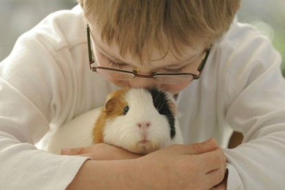 ¿Son los roedores una buena mascota para los niños?