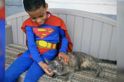 Pequeño superhéroe de 5 años ¡que rescatar gatos!