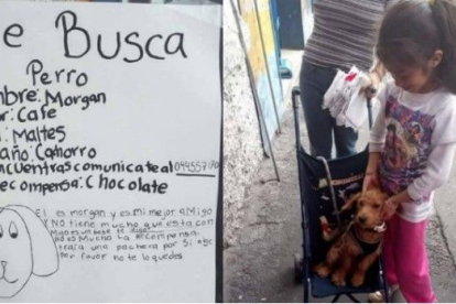 Pequeña recupera a su mascota con un lindo cartel que conmovió a todos en las redes sociales