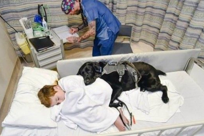 Hospital en España permite la visita de perros a niños enfermos