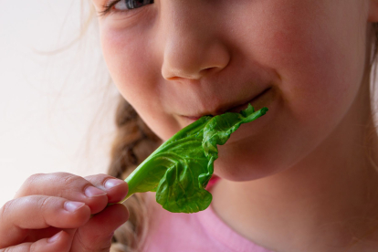 Beneficios de las acelgas y las espinacas para niños