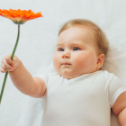 Descubre cuál es la flor de nacimiento de tu bebé.