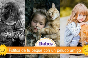 15 tiernas fotos de bebés y gatitos